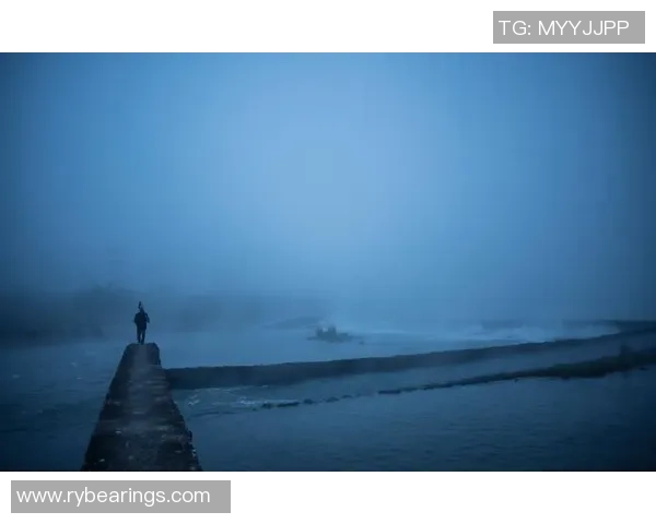 刘强的极限运动人生探索与挑战背后的深度对话与思考