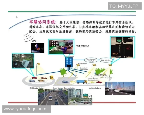 北京排球队运营模式深度解析与发展前景展望
