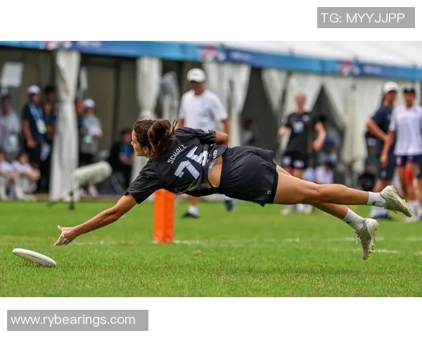 成都飞盘队比赛经验深度对比与战术解析